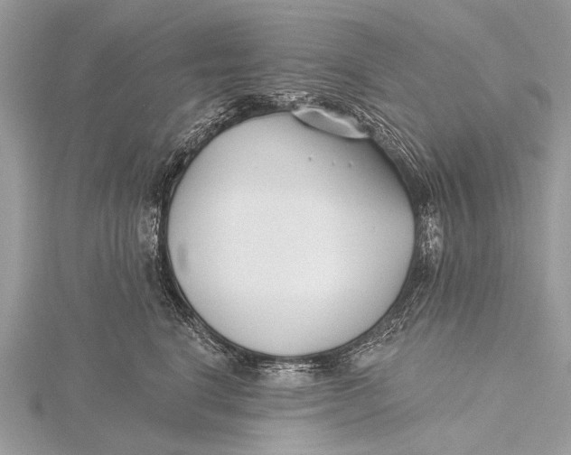 X0000115770664200912041432