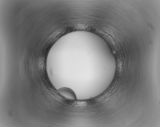 X0000115770665200912041432