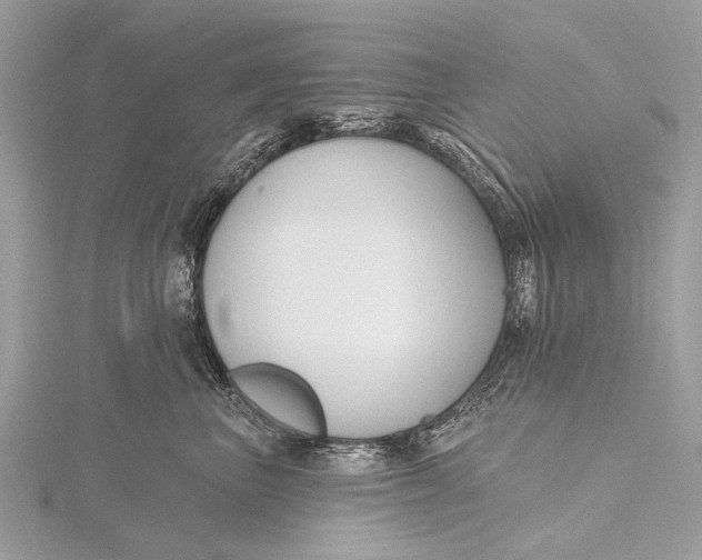 X0000115770667200912041433