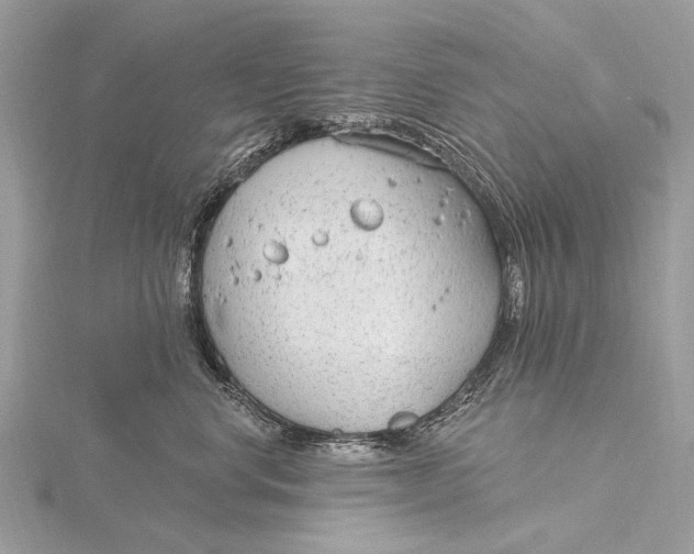 X0000115770668200912041433