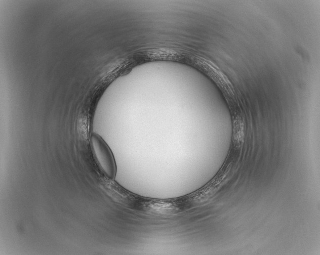 X0000115770669200912041433