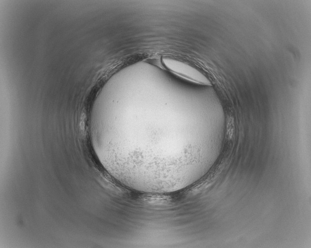 X0000115770670200912041433