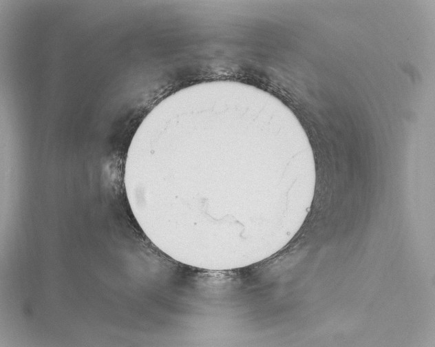 X0000115770672200912041433