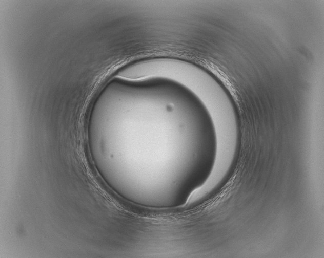 X0000115770673200912041432