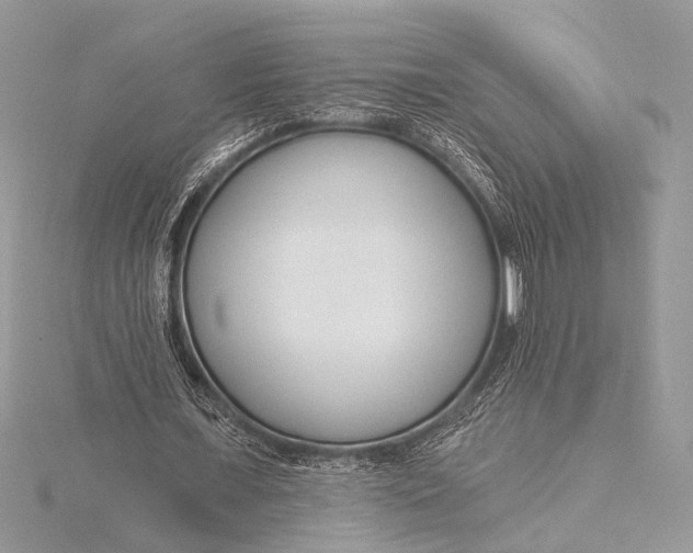 X0000115770675200912041432