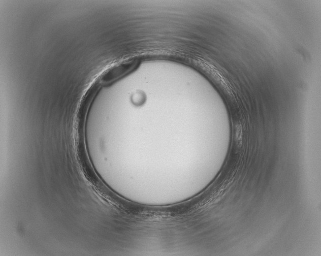 X0000115770676200912041432