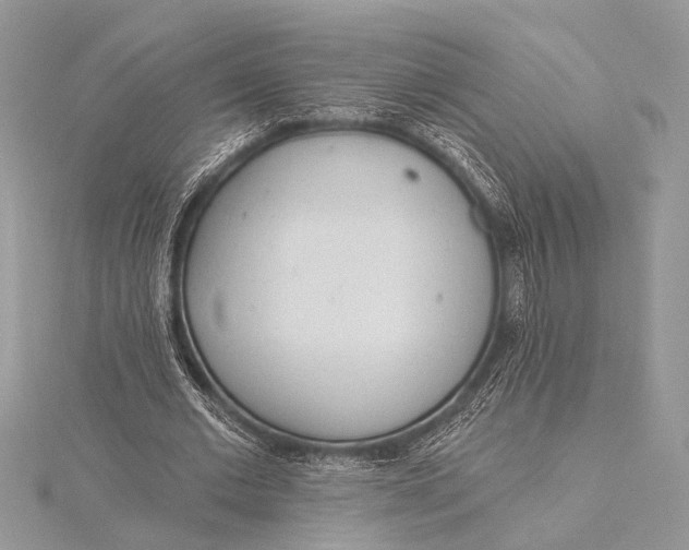 X0000115770677200912041432