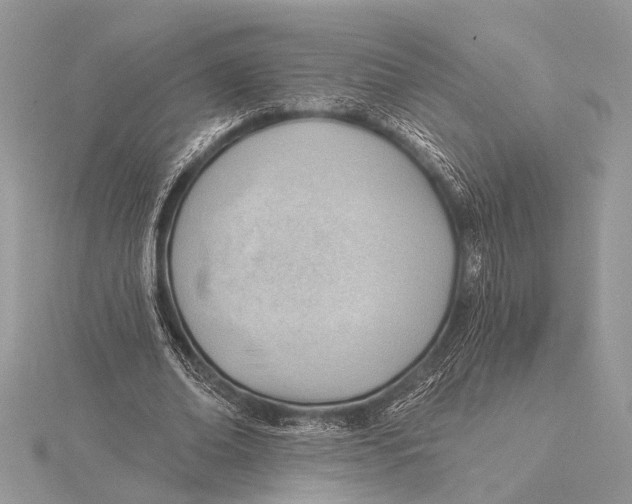 X0000115770678200912041432