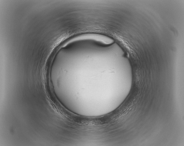 X0000115770679200912041432