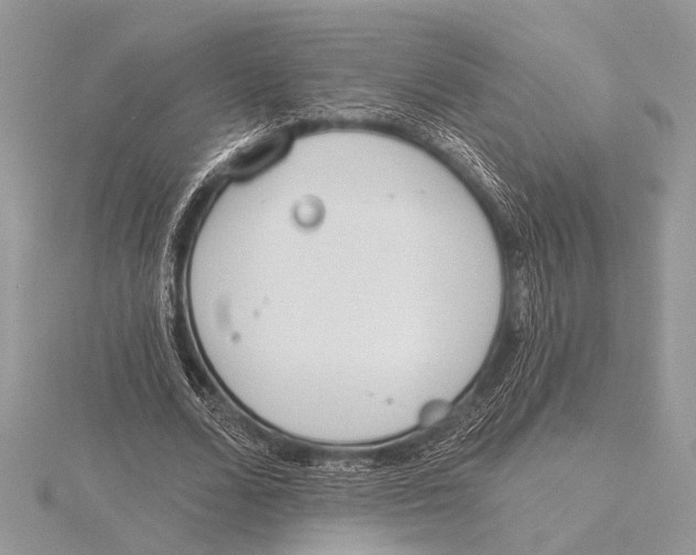 X0000115770680200912041432