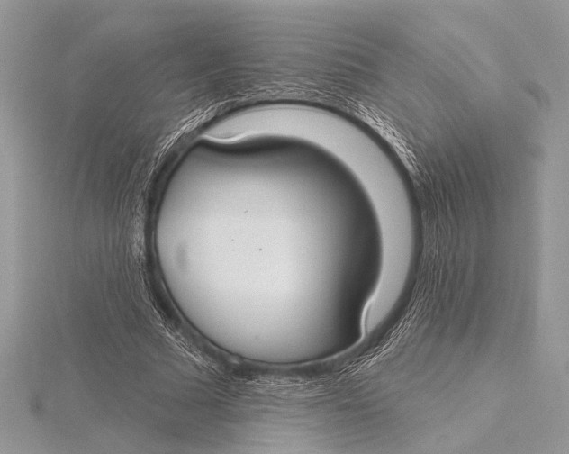 X0000115770681200912041432