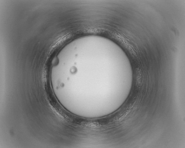 X0000115770683200912041432