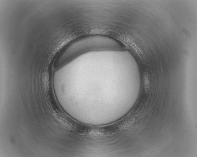 X0000115770684200912041432