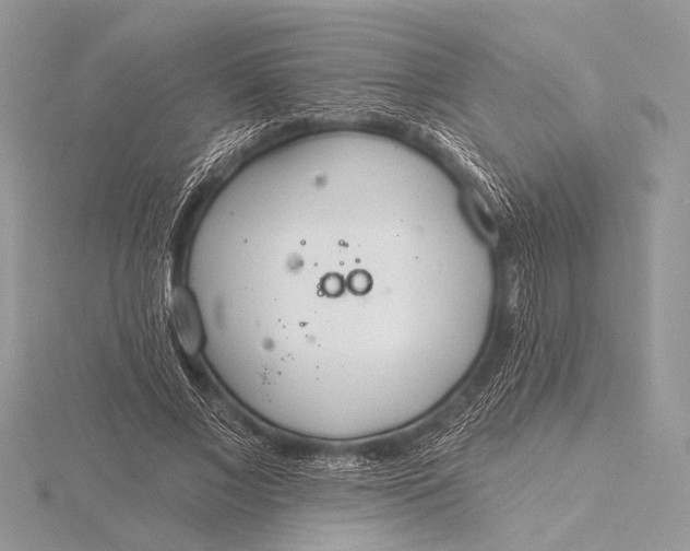 X0000115770685200912041432