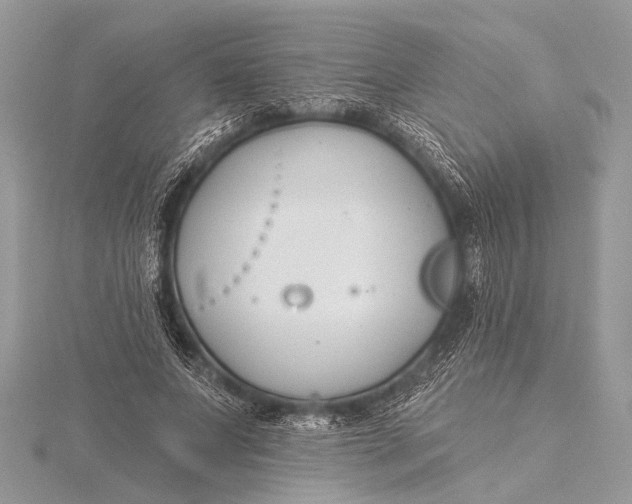 X0000115770687200912041432