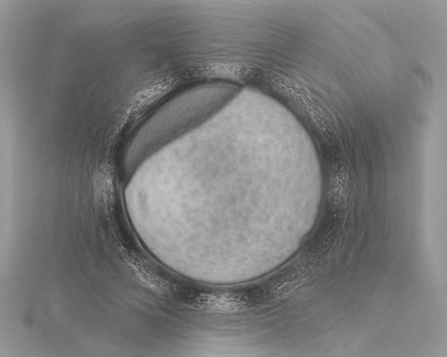 X0000115770688200912041432