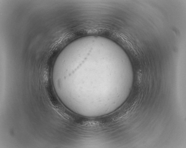 X0000115770691200912041432