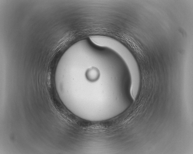 X0000115770696200912041432