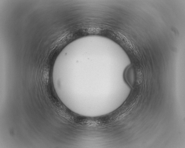 X0000115770697200912041432