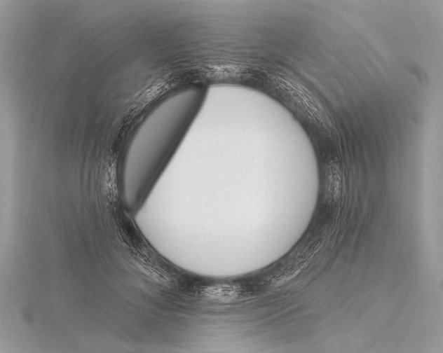 X0000115770700200912041432