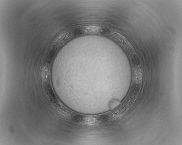 X0000115770701200912041432