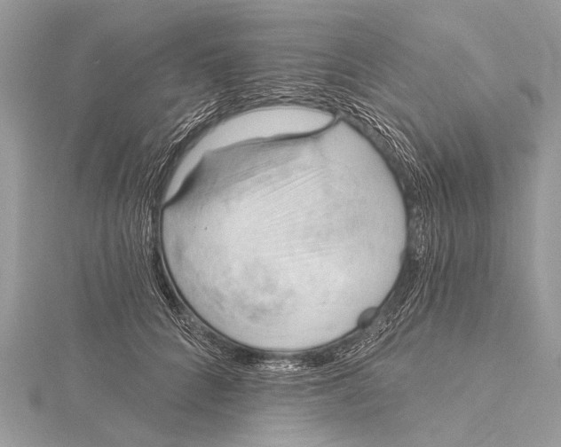 X0000115770704200912041432