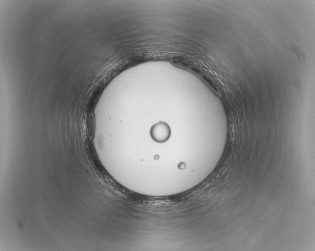 X0000115770716200912041431