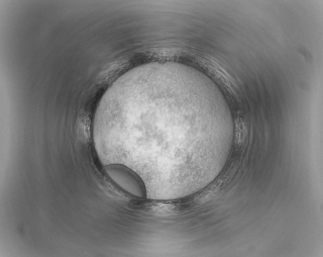 X0000115770718200912041431