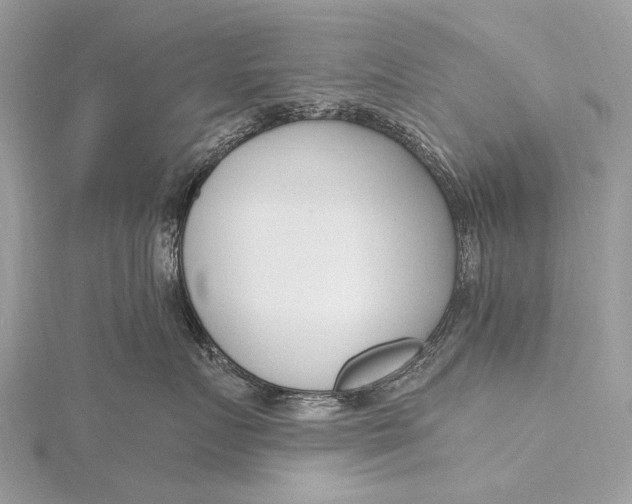 X0000115770719200912041431