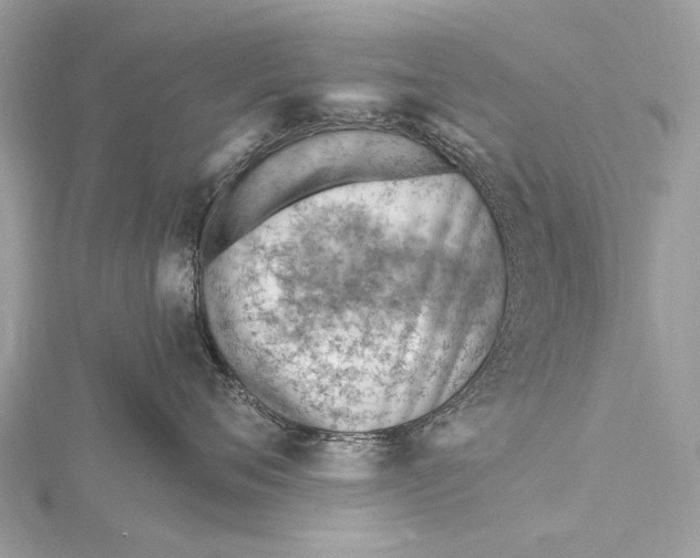 X0000115770720200912041431