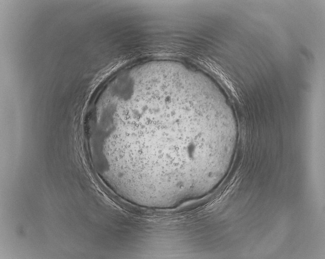 X0000115770721200912041431