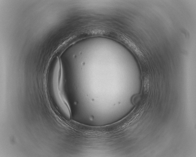 X0000115770722200912041431