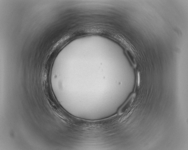 X0000115770723200912041431