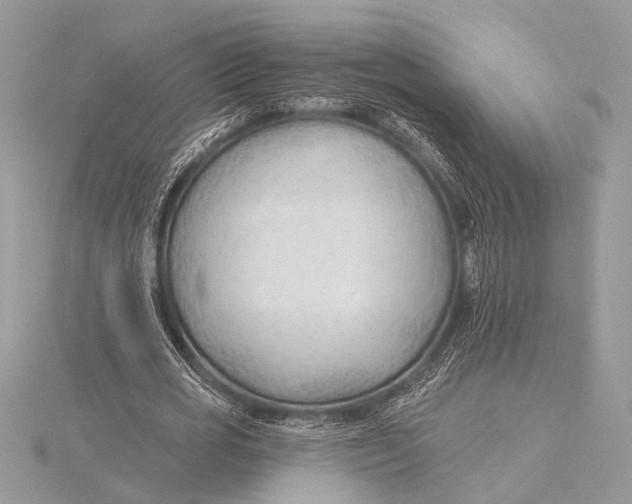 X0000115770725200912041431