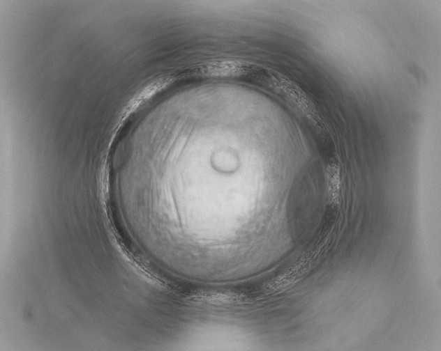 X0000115770726200912041431