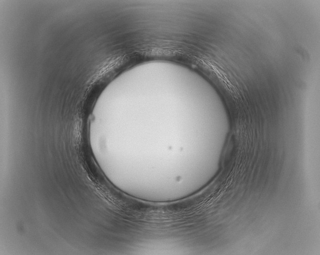 X0000115770735200912041431