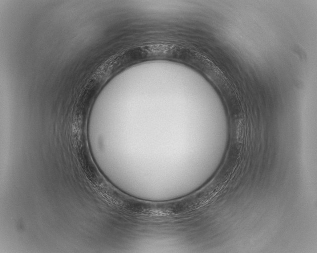 X0000115770737200912041431