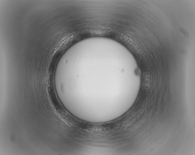 X0000115770738200912041431