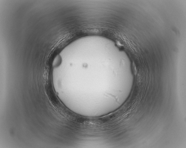 X0000115770739200912041431