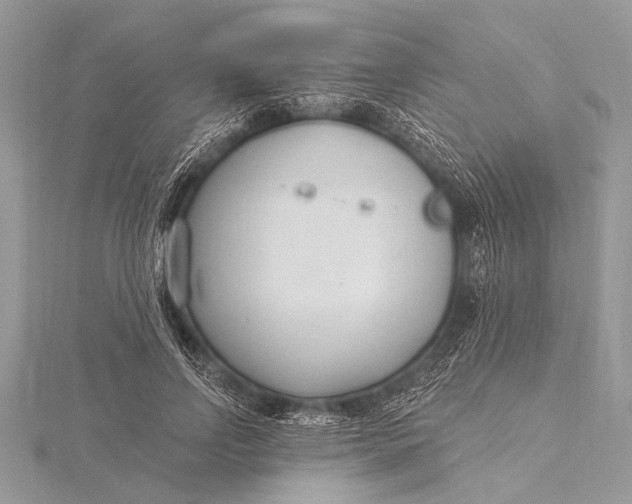 X0000115770742200912041431