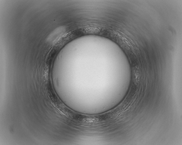 X0000115770745200912041431