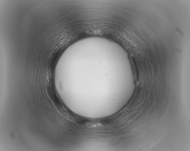 X0000115770747200912041431