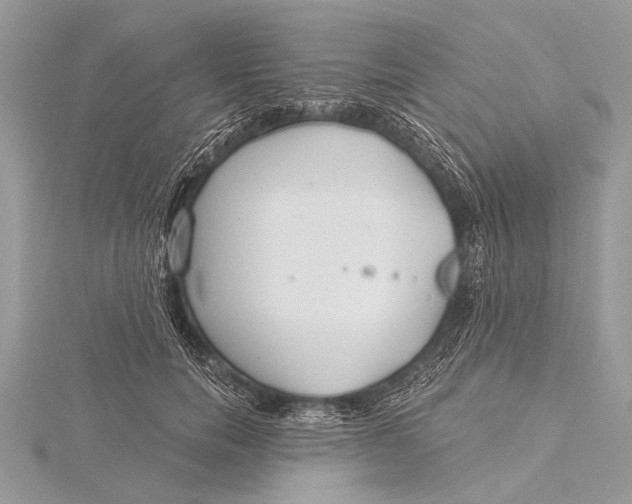 X0000115770750200912041431