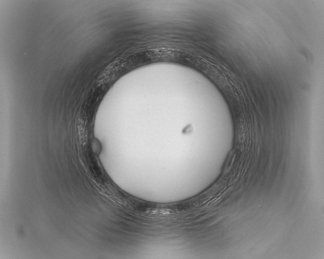 X0000115770751200912041431