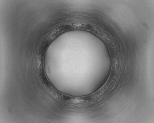 X0000115770754200912041431