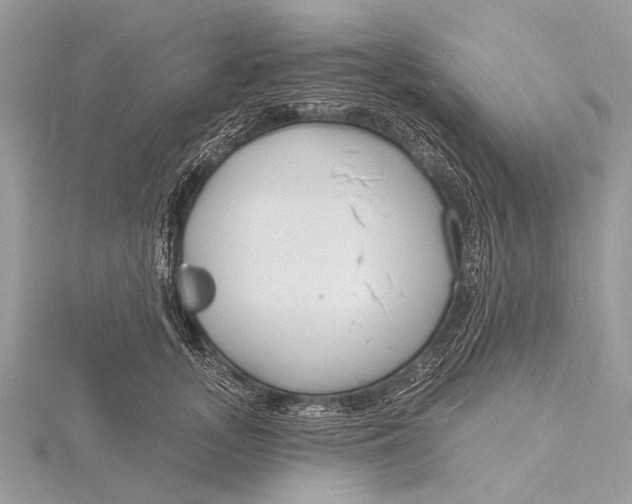 X0000115770755200912041431