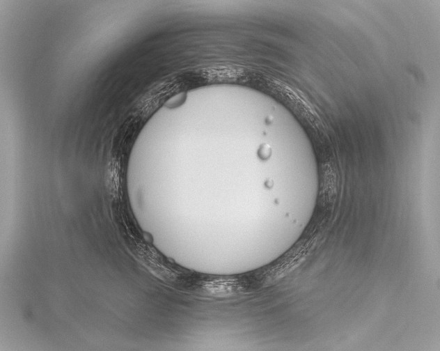 X0000115770761200912041431