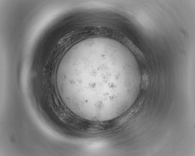 X0000115770765200912041431