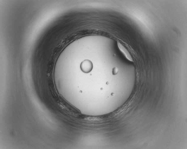 X0000115770766200912041431