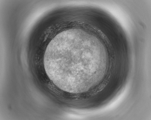 X0000115770767200912041431